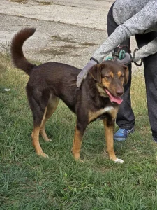 Nora