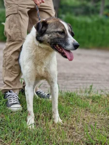 Zeus
