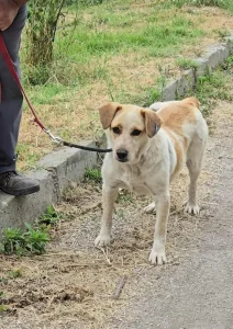 Tutti <3