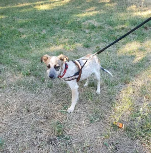 Mia