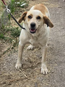 Tutti <3