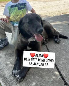 Alma