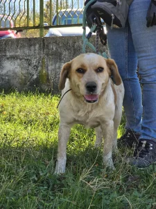Tutti <3