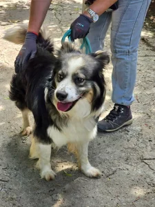 Nolan