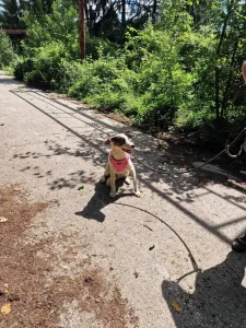 Mex