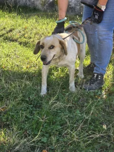Tutti <3