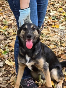 Kira