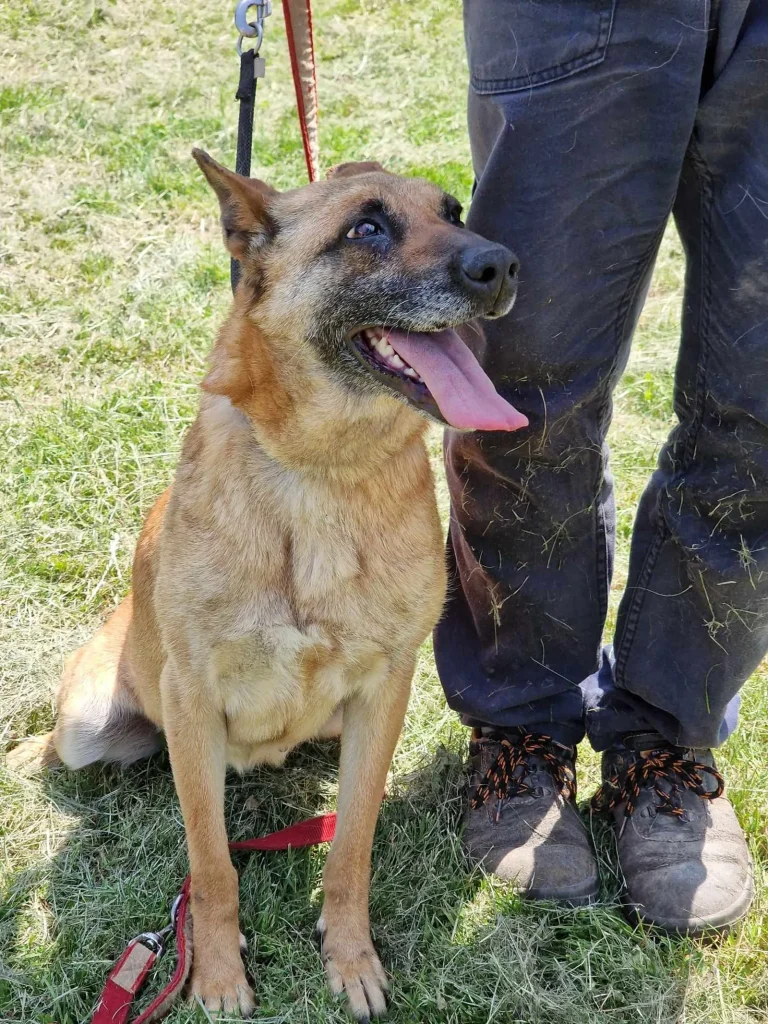 Ruby alias "16"