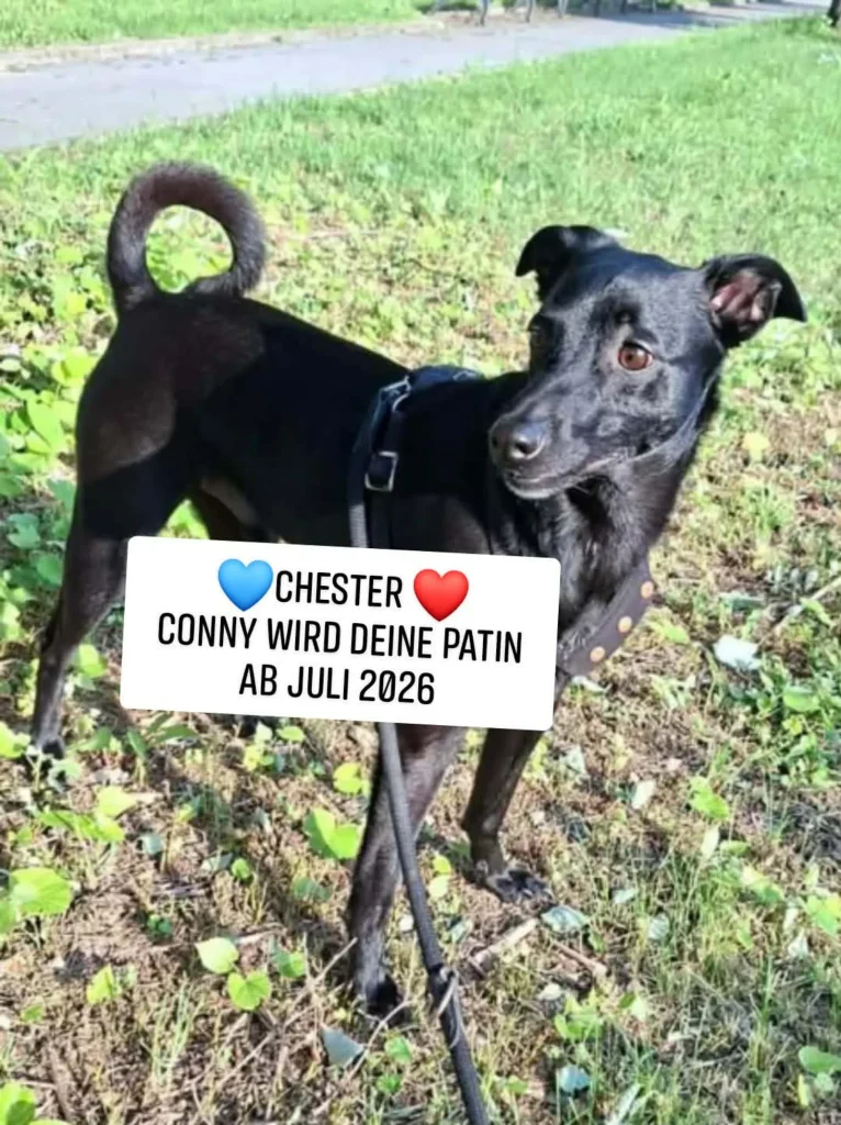 Chester