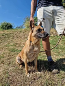Ruby alias "16"