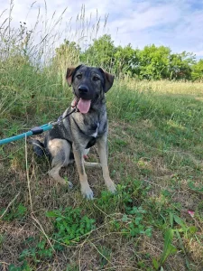 Ares <3