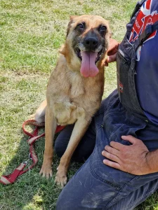 Ruby alias "16"