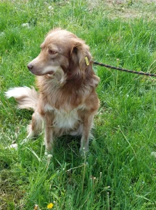 Patch