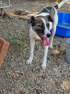 Zeus