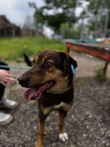 Nora