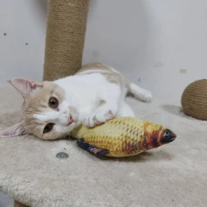 Hugo
