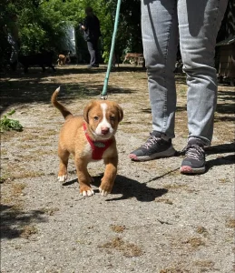 Charlie