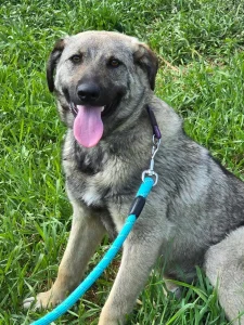 Ares <3