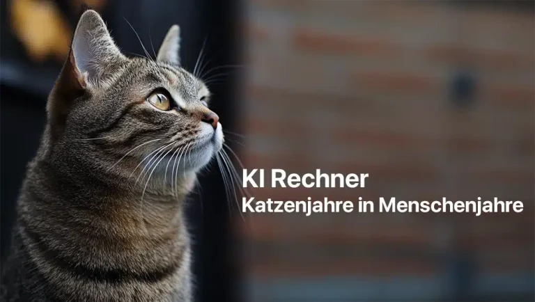Katzenjahre in Menschenjahre umrechnen (Rechner)